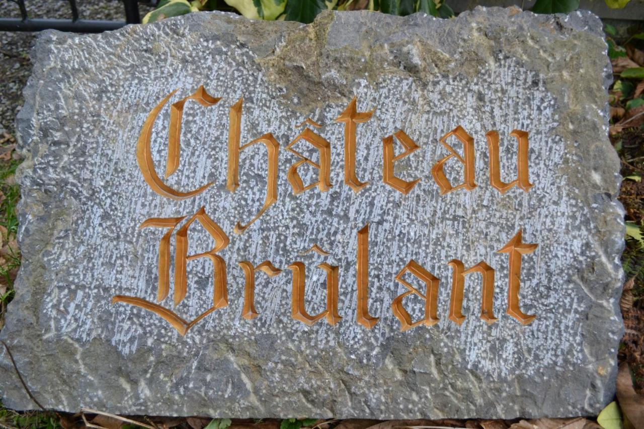 Chateau Brulant Somme-Leuze Exteriör bild